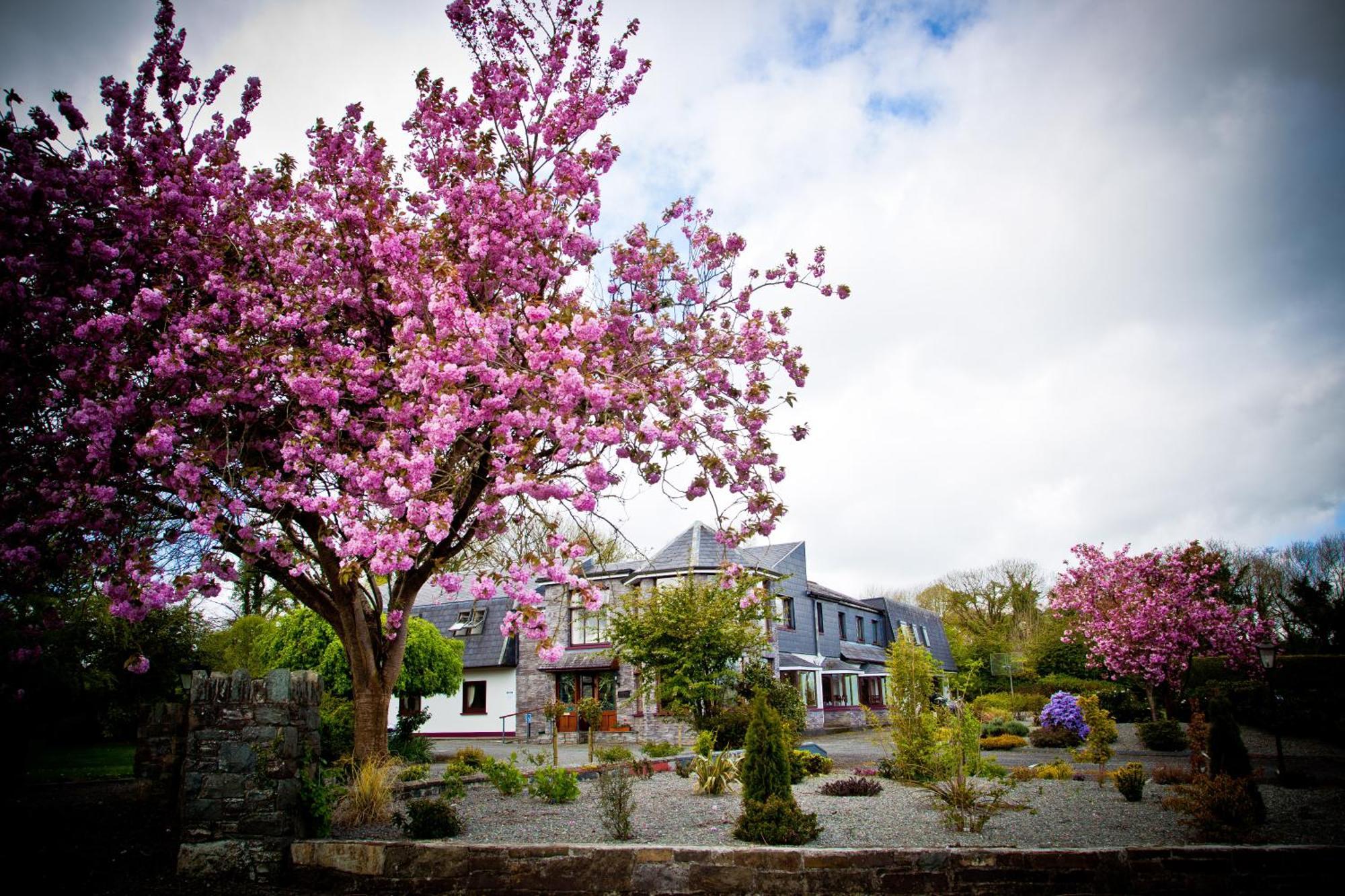 Kathleens Country House Lower Coolcorcoran Екстериор снимка